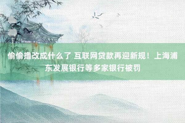 偷偷撸改成什么了 互联网贷款再迎新规！上海浦东发展银行等多家银行被罚