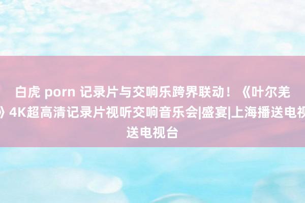 白虎 porn 记录片与交响乐跨界联动！《叶尔羌河》4K超高清记录片视听交响音乐会|盛宴|上海播送电视台
