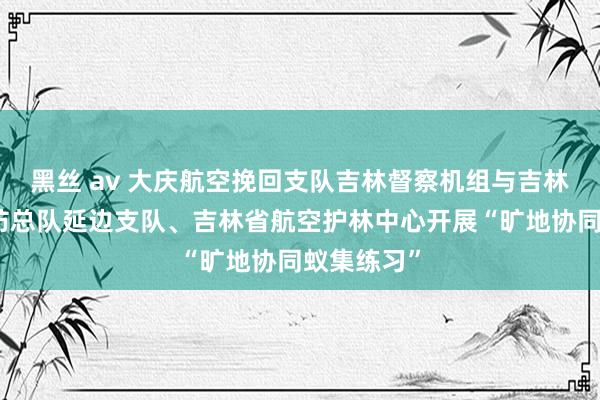 黑丝 av 大庆航空挽回支队吉林督察机组与吉林省丛林消防总队延边支队、吉林省航空护林中心开展“旷地协同蚁集练习”