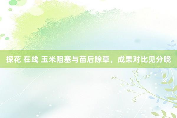 探花 在线 玉米阻塞与苗后除草，成果对比见分晓