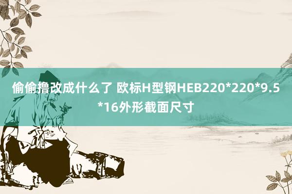 偷偷撸改成什么了 欧标H型钢HEB220*220*9.5*16外形截面尺寸