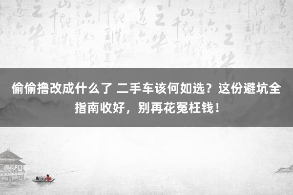 偷偷撸改成什么了 二手车该何如选？这份避坑全指南收好，别再花冤枉钱！