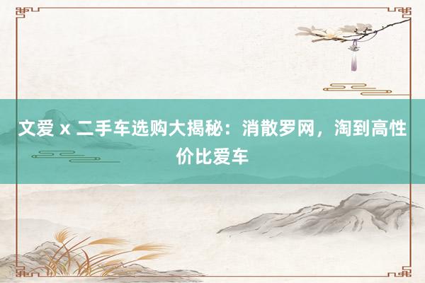 文爱 x 二手车选购大揭秘：消散罗网，淘到高性价比爱车