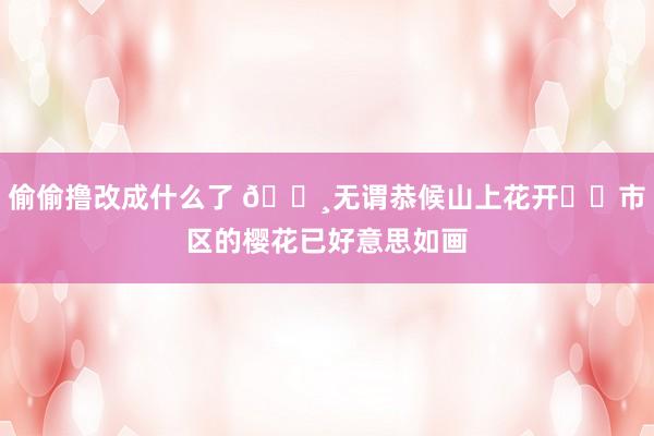 偷偷撸改成什么了 🌸无谓恭候山上花开❗️市区的樱花已好意思如画