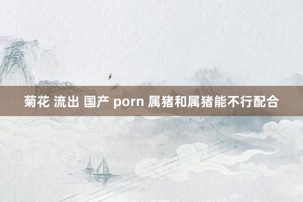 菊花 流出 国产 porn 属猪和属猪能不行配合